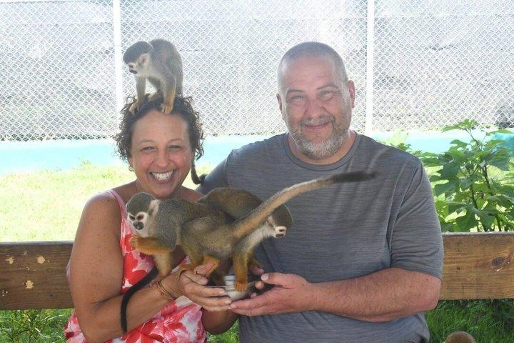 Sorria com os macacos | Porto de cruzeiros de Amber Cove e Tayno Bay