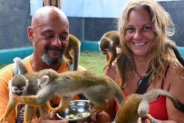 アンバーコーブとテイノベイクルーズポートでサルたちと笑顔を楽しもう