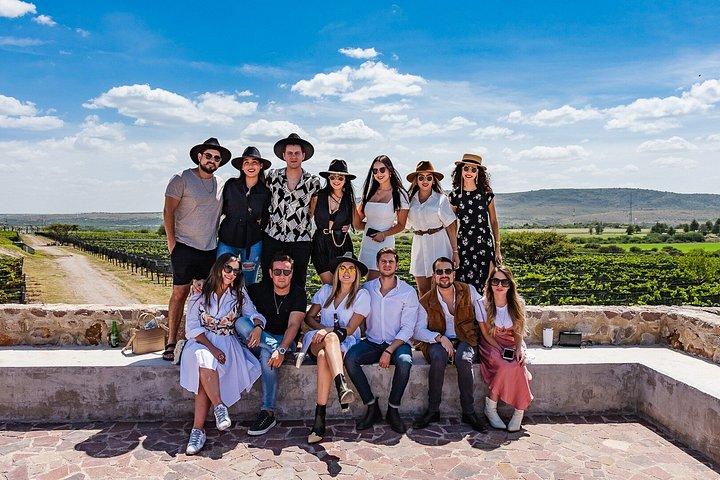 Wine Tasting and Wine Tour at SMA