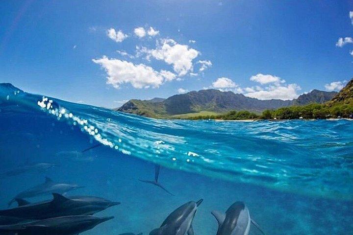 カウアイ島：レディカイラニでのラグジュアリーなナパリシュノーケル体験
