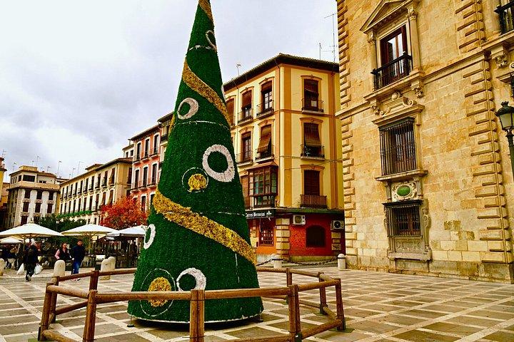 グラナダ歴史広場のプライベートクリスマスウォーキングツアー