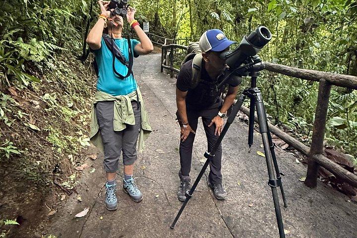 Mistico Park Arenal Hanging Bridges & Volcano Walk