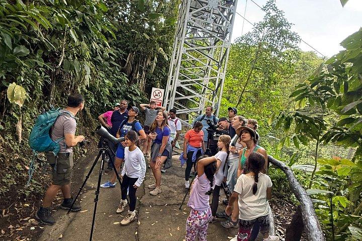 Mistico Park Arenal Hanging Bridges & Volcano Walk
