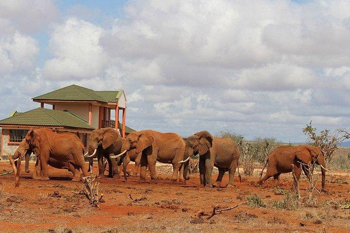 3 days Man Eaters Camp Madaraka Express Package