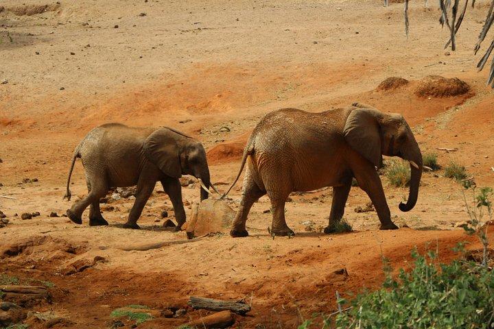 3 days Man Eaters Camp Madaraka Express Package
