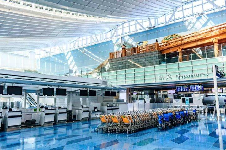 成田空港～東京18～45人乗りバス片道送迎