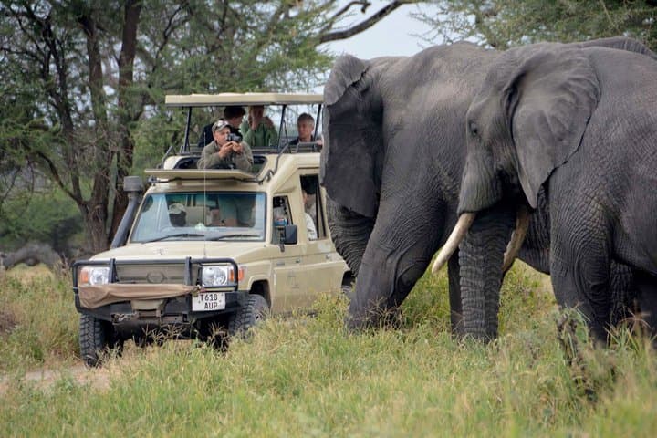 8 Days High End Kenya Luxury Safari
