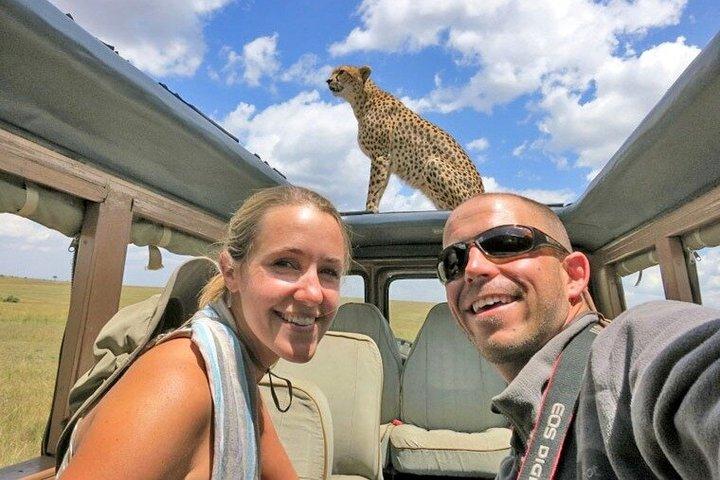 6 dias Samburu Lake Naivasha e Masai Mara Safari de Nairobi