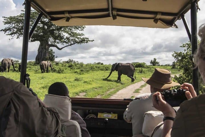 3 Day Salt Lick Safari Lodge and Sentrim Tsavo East Safari
