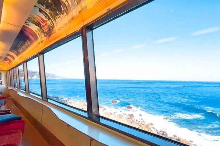 Izu Small Group : Ocean-View Train, Monte Omuro e Costa
