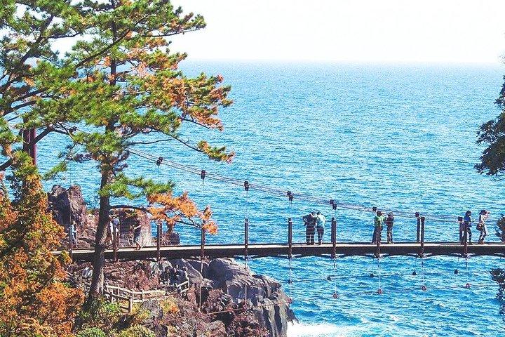 Izu Small Group : Ocean-View Train, Monte Omuro e Costa