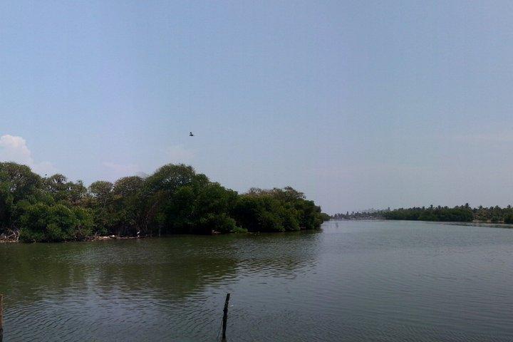 Descubra Negombo Un tour cultural de un día por la joya costera de Sri Lanka