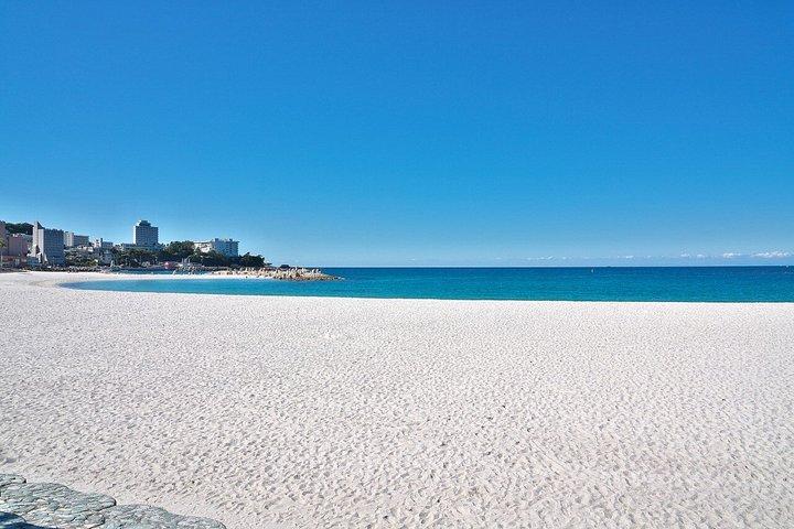 大阪沿岸小グループからの白浜日帰り旅行
