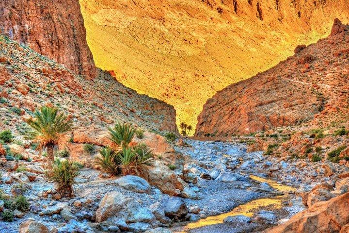3 Day Marrakech to Merzouga Desert Tour with Camel Trek