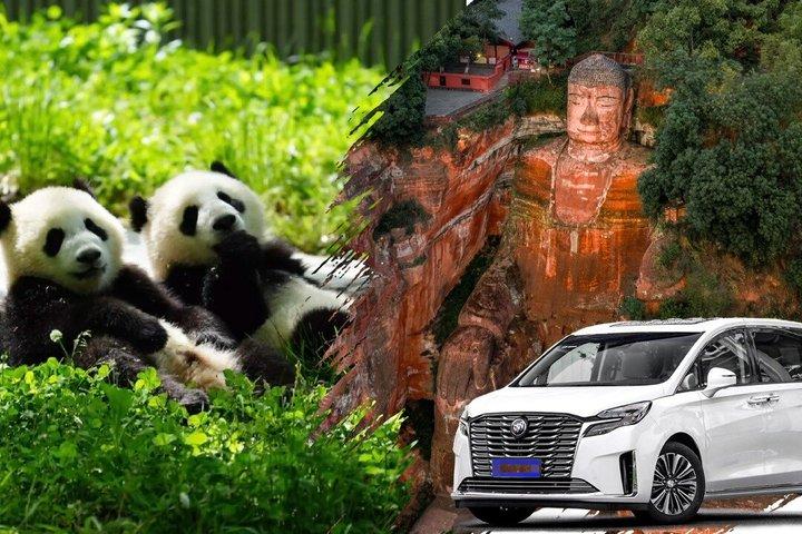 貸切バス1日：成都パンダ基地と楽山ジャイアントブッダ