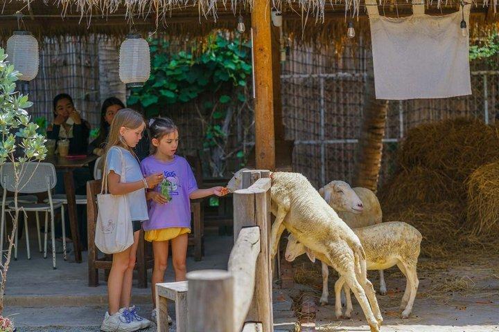 Siem Reap Halvdagstur till Siem Reaps by och lokala liv