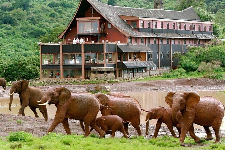 Excursión de varios días al Parque Nacional de Aberdares