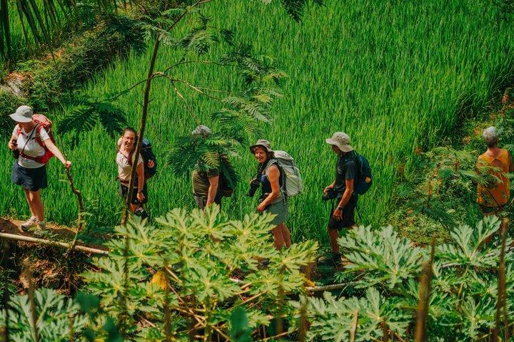 Yogyakarta Meerdaags Privé Programma voor Senior en Langzame Reizigers