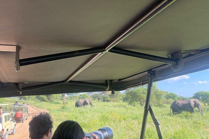 Dagstur till Tarangire National Park Wildlife Safari Adventure
