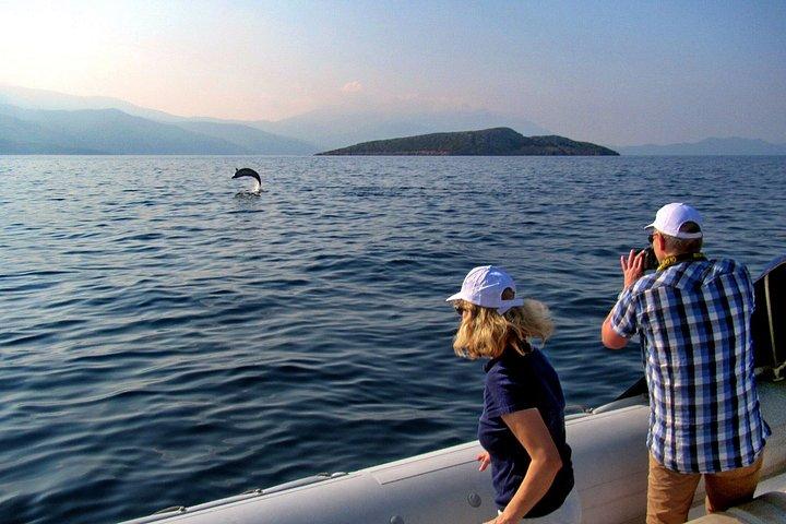 カミロス スカラ：海洋生物体験