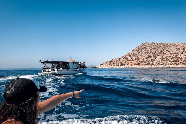 Kamiros Skala: Marine Life Experience