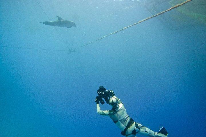カミロス スカラ：海洋生物体験