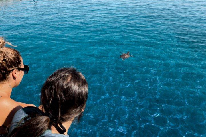 Kamiros Skala: Marine Life Experience