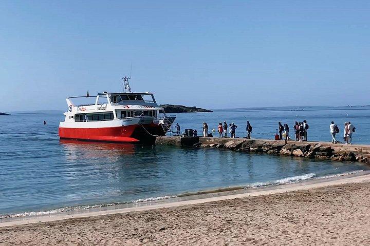 CRYSTAL WATERS SEA EXPERIENCE, from Platja d'en Bossa