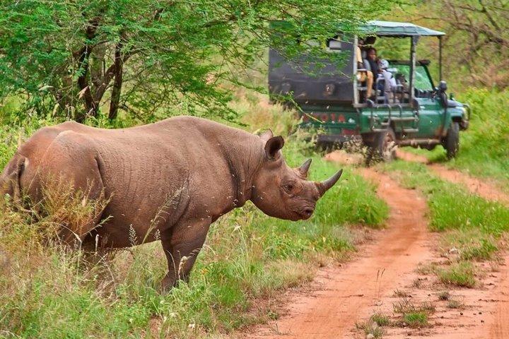 タランギル国立公園の日帰り野生動物サファリアドベンチャー