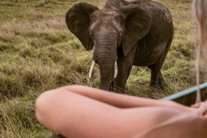 タランギル国立公園の日帰り野生動物サファリアドベンチャー