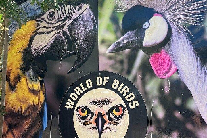 究極のハウトベイツアーバードサンクチュアリとシール島
