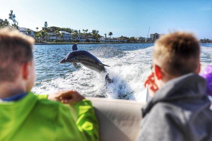 シエスタキー2時間プライベートチャーター-シエスタベストドルフィンツアー