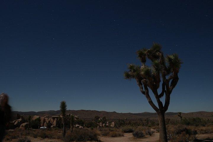 1 - Día Joshua Tree National Park Aventura privada desde San Diego