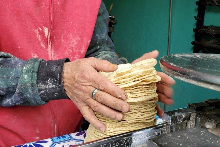 Mexico City Taco Tour Hidden Taquerías with a Local