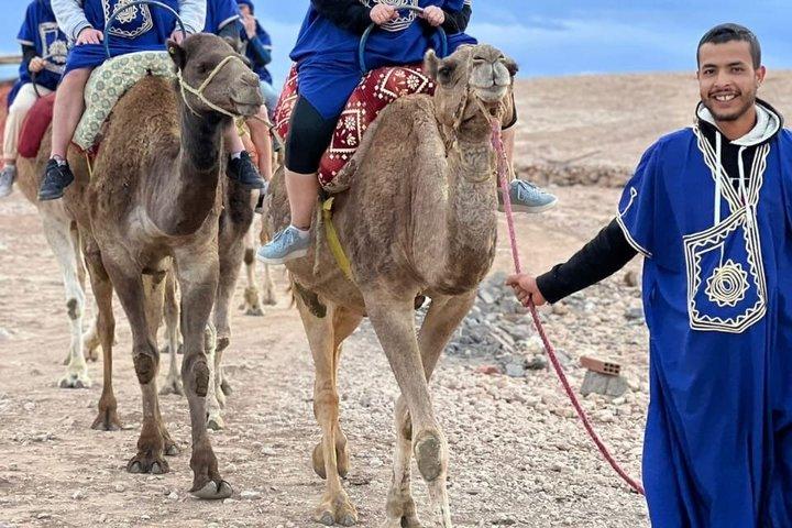 Kameläventyr i Palmerieöknen Marrakech