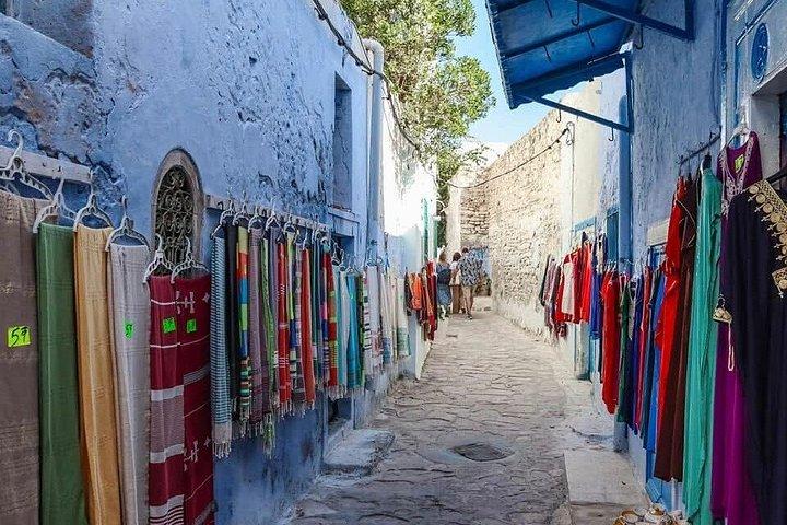 Full Day Excursion Tunis Carthage and Sidi Bou Said From Tunis