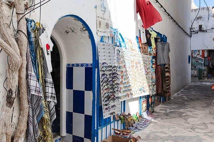 Full Day Excursion Tunis Carthage and Sidi Bou Said From Tunis