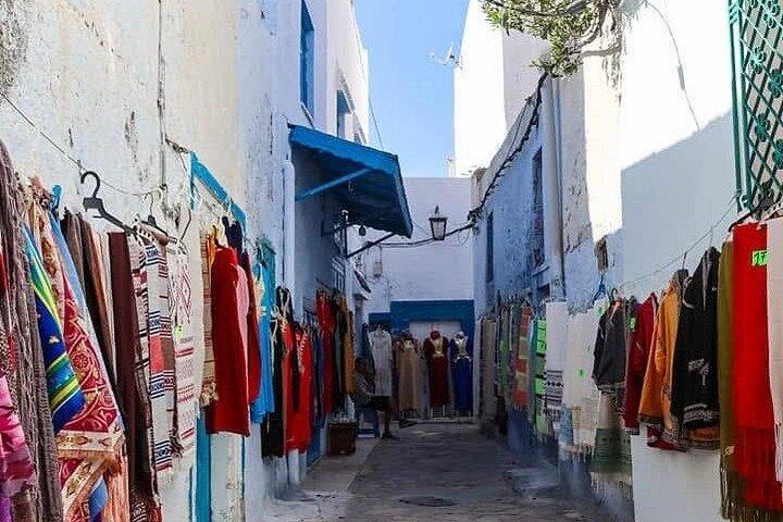 Full Day Excursion Tunis Carthage and Sidi Bou Said From Tunis