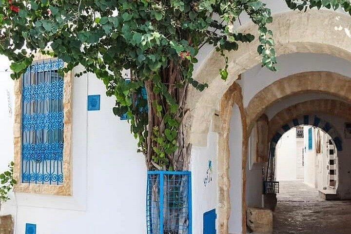 Full Day Excursion Tunis Carthage and Sidi Bou Said From Tunis