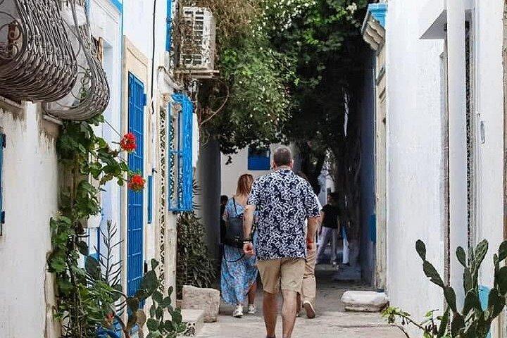 Full Day Excursion Tunis Carthage and Sidi Bou Said From Tunis