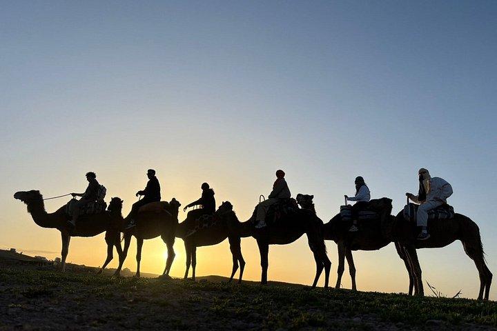 Agafay Desert Quad, Camel Ride & Dinner Show vanuit Marrakech