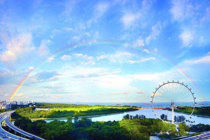 Indgangskort til Singapore Flyer