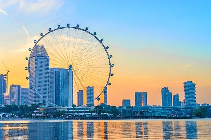Indgangskort til Singapore Flyer