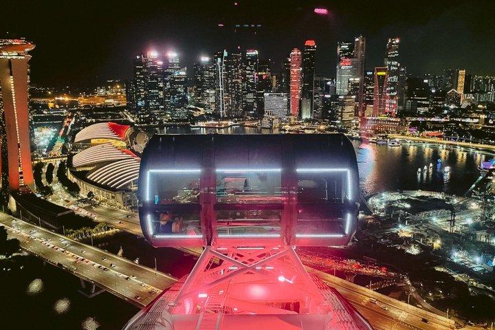 Indgangskort til Singapore Flyer