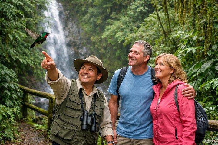 Mindo Nebelwald : Kolibris, Vögel & Wasserfälle Tour