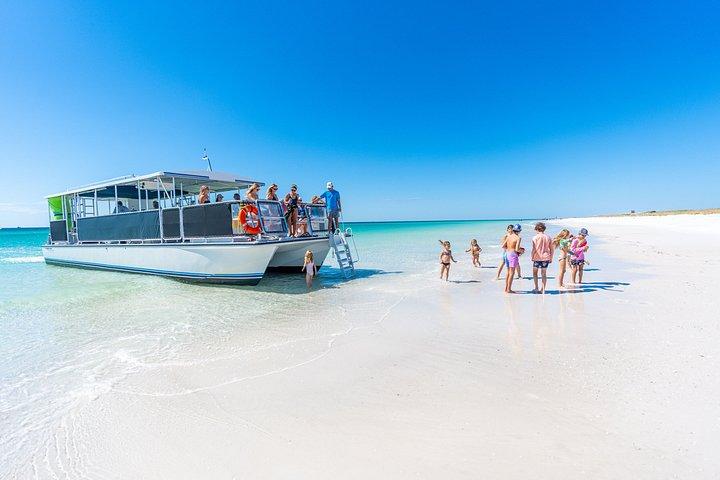 Private Charter: Shell Island Snorkeling & Dolphin Adventure