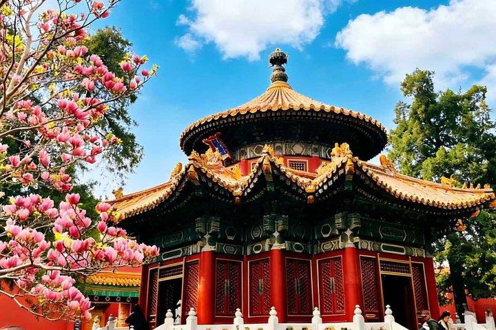 Billet Tiananmen Square&Forbidden City + option visite privée/groupe