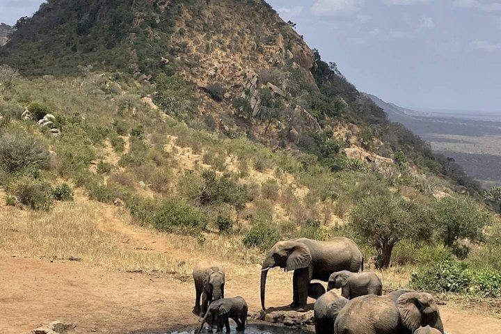3 dagar Man Eaters Camp Madaraka Express Paket