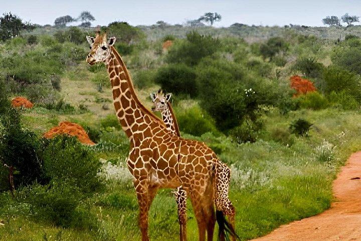 3 days Man Eaters Camp Madaraka Express Package