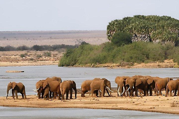 3 days Man Eaters Camp Madaraka Express Package
